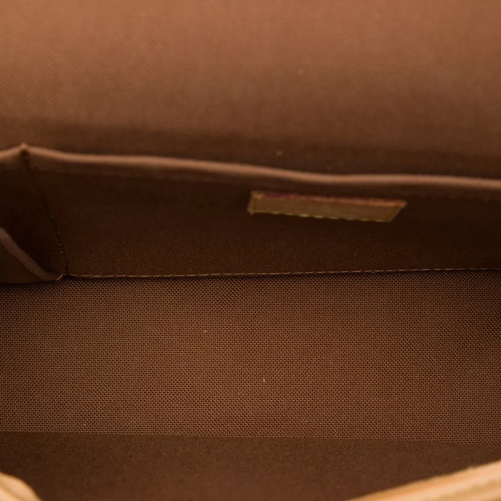 Louis Vuitton Monogram Sologne Brown Canvas Very good - Model View
