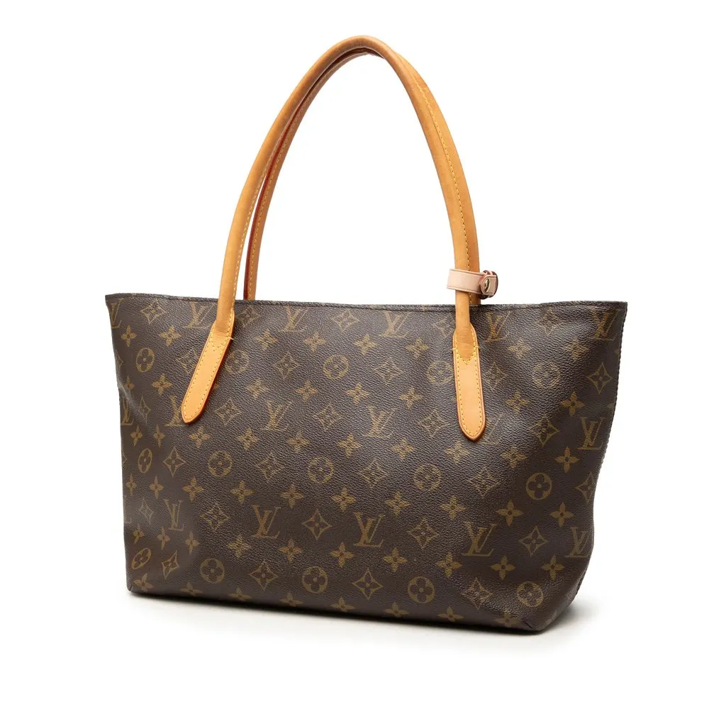 Louis Vuitton Monogram Raspail PM Brown Very good - Back View