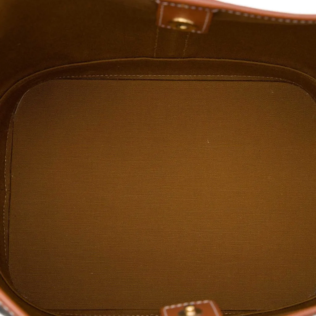 Celine Medium Triomphe Coated Canvas Bucket Bag Brown Very good - Model View