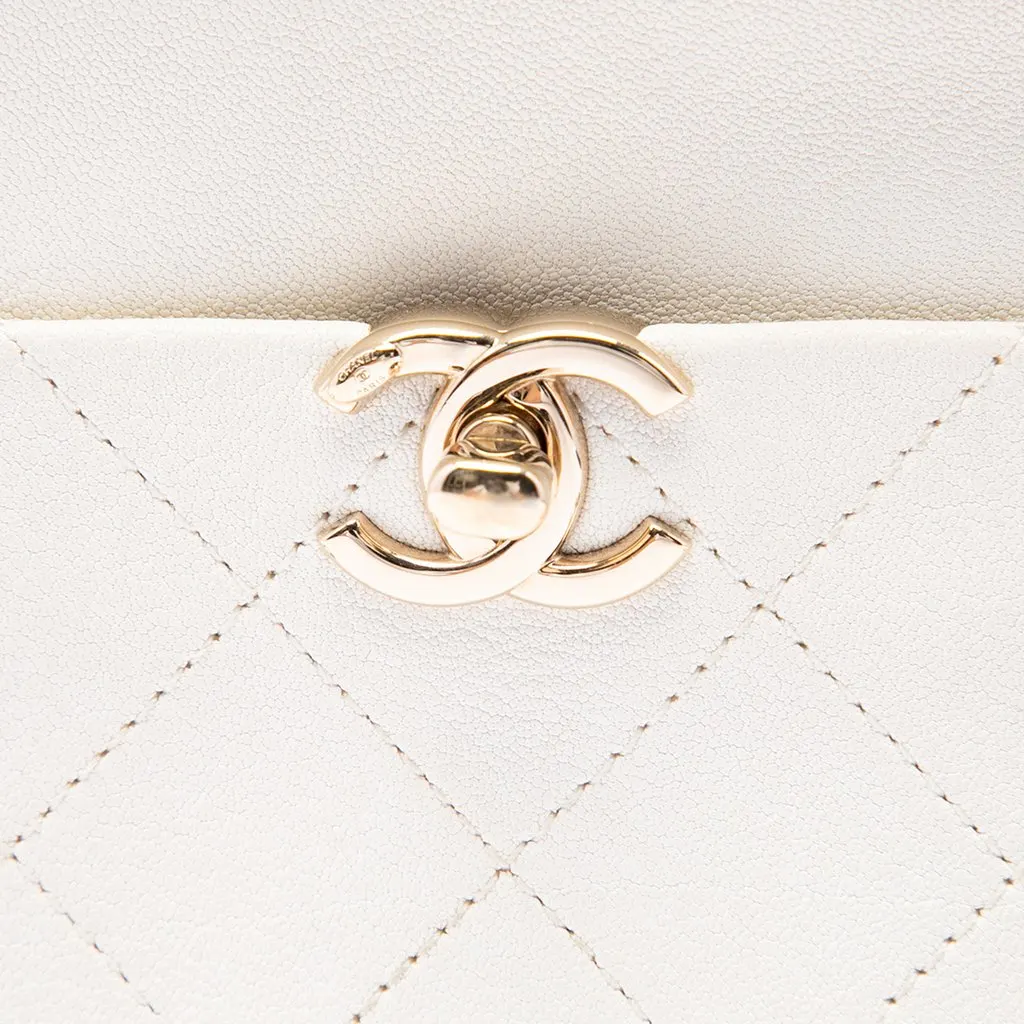 Chanel Small Quilted Goatskin Casual Trip Camera Bag White Leather Very good - Box View