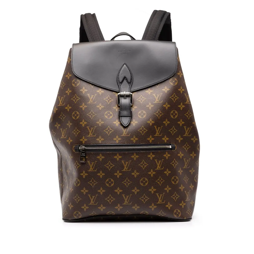 Louis Vuitton Monogram Macassar Palk Backpack