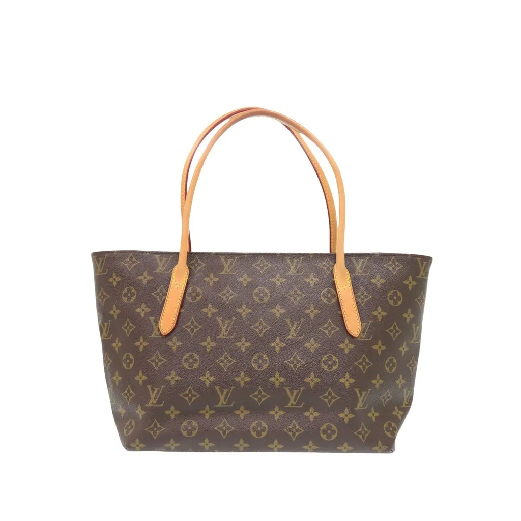 Louis Vuitton Monogram Raspail PM Brown Very good - Back View