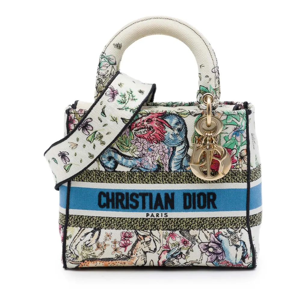 Dior Medium Embroidered Canvas D Constellation Lady D Lite White Very good - Front View