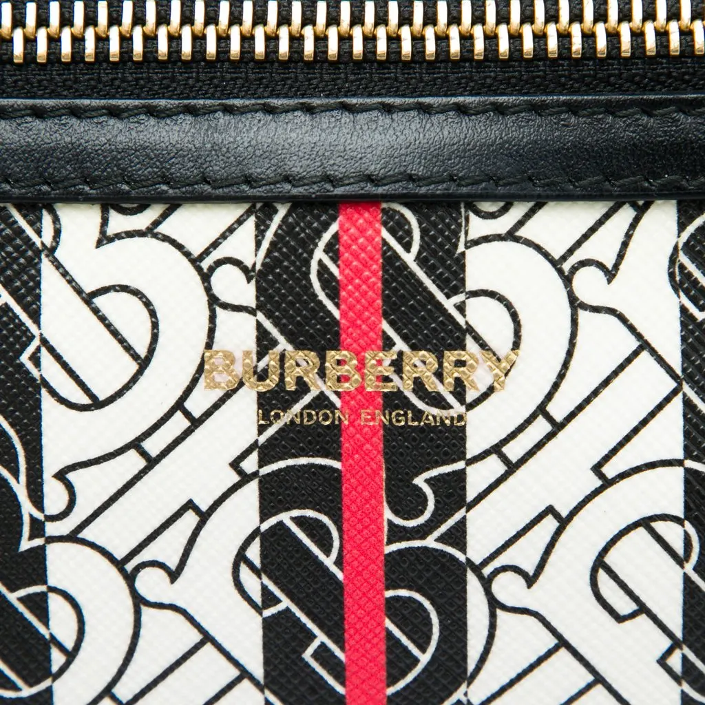 Burberry TB Monogram E Canvas Stripe Sonny Belt Bag Brown Very good - Box View