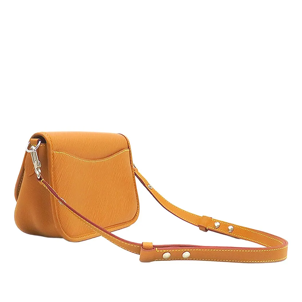 Louis Vuitton Epi Buci Brown Leather Very good - Back View