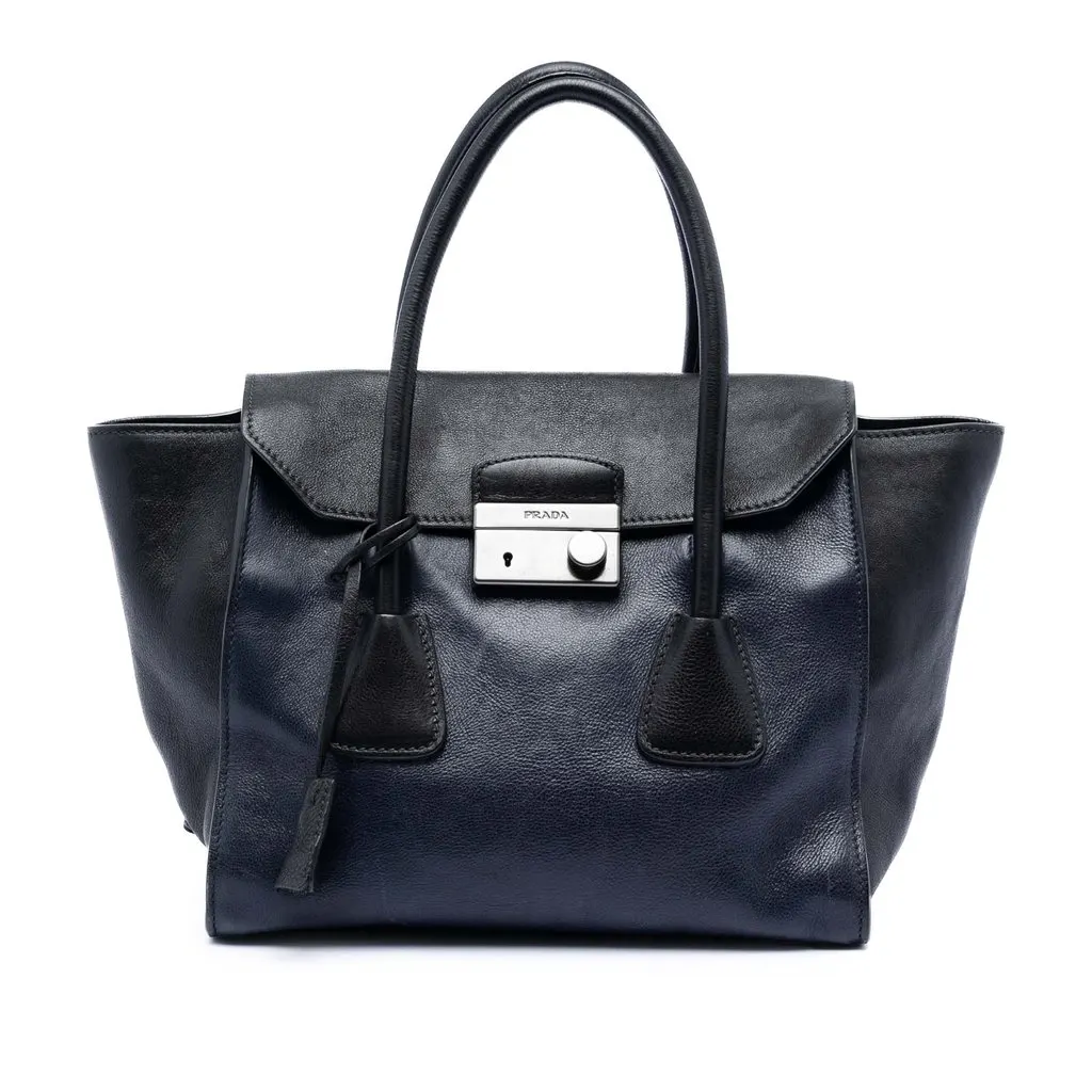 Prada Bicolor Glace Calf Sound Lock Satchel Blue Leather Very good - Front View