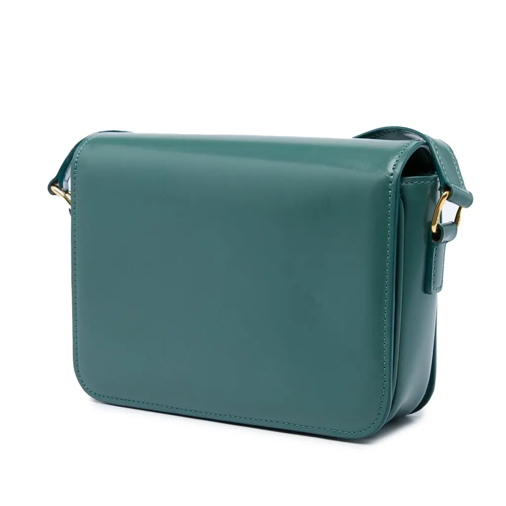 Celine Teen Shiny Calfskin Triomphe Crossbody Blue Leather Very good - Back View