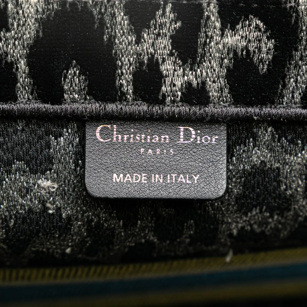 Dior Mizza Medium Embroidered Canvas Leopard Book Tote Black Canvas Very good - Box View