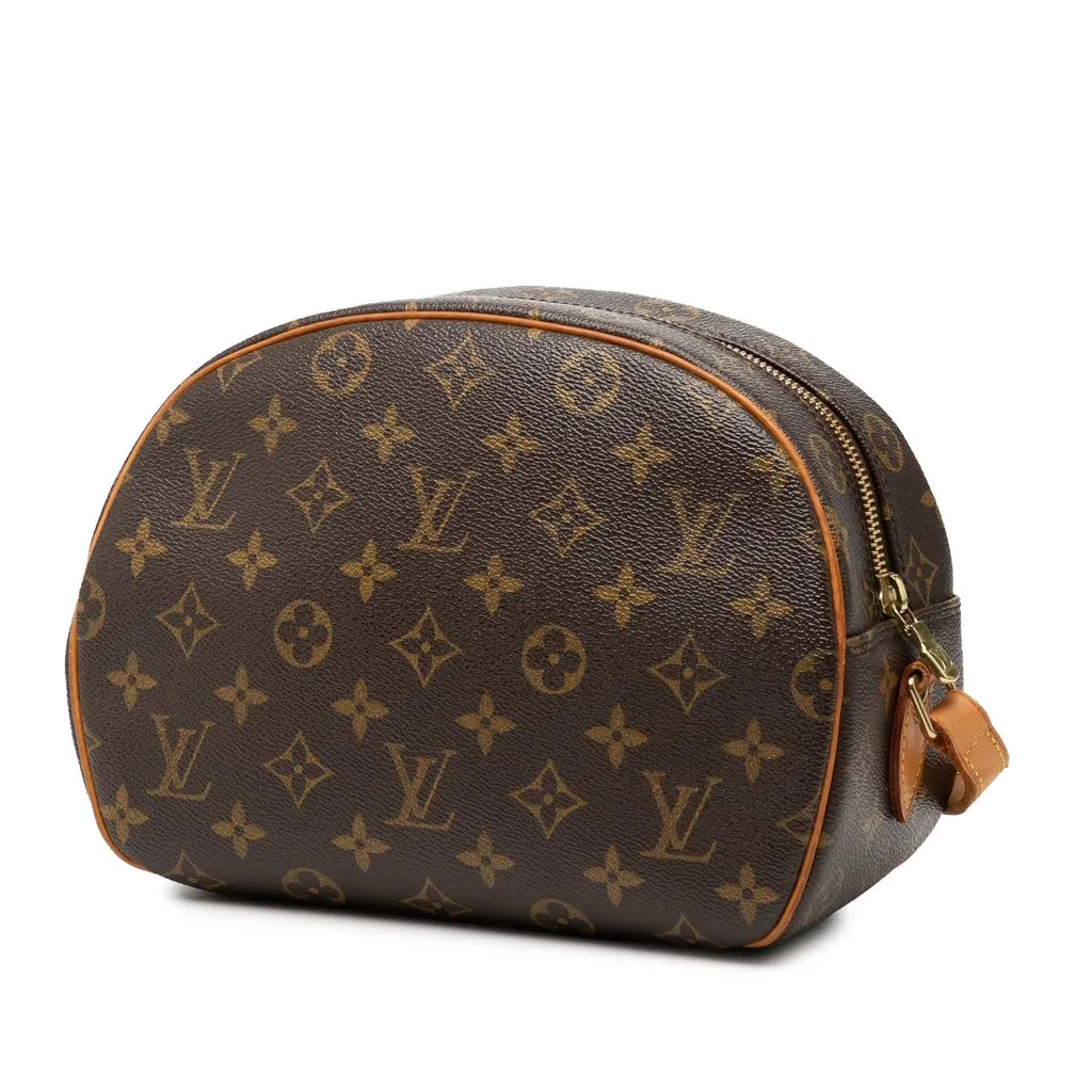 Louis Vuitton Monogram Blois Brown Very good - Back View