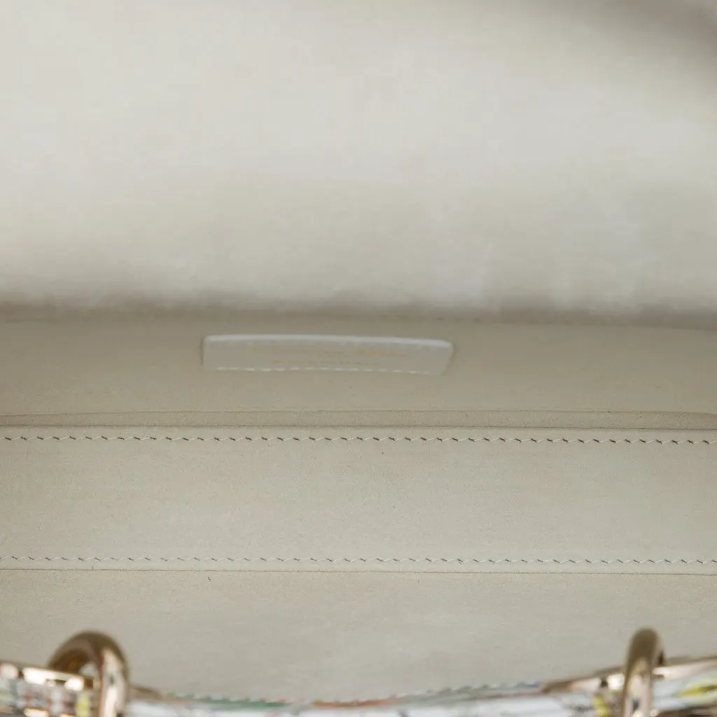 Dior Medium Calfskin Astral Flowers Lady D Joy White Leather Very good - Model View