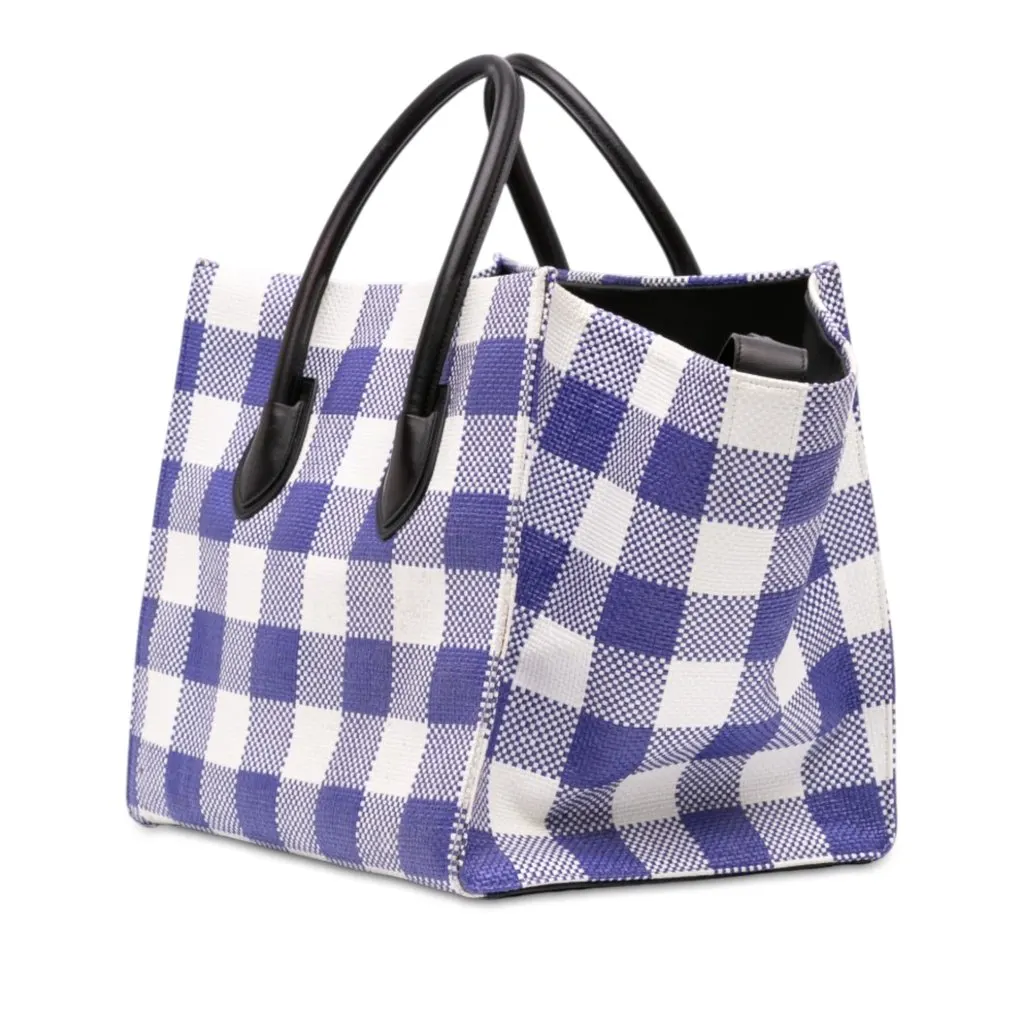 Celine Medium Gingham Raffia Luggage Phantom Tote Blue Very good - Back View