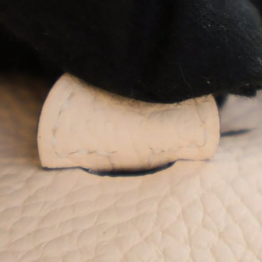 Hermès Clemence Evelyne 16 Amazone White Leather Very good - Model View