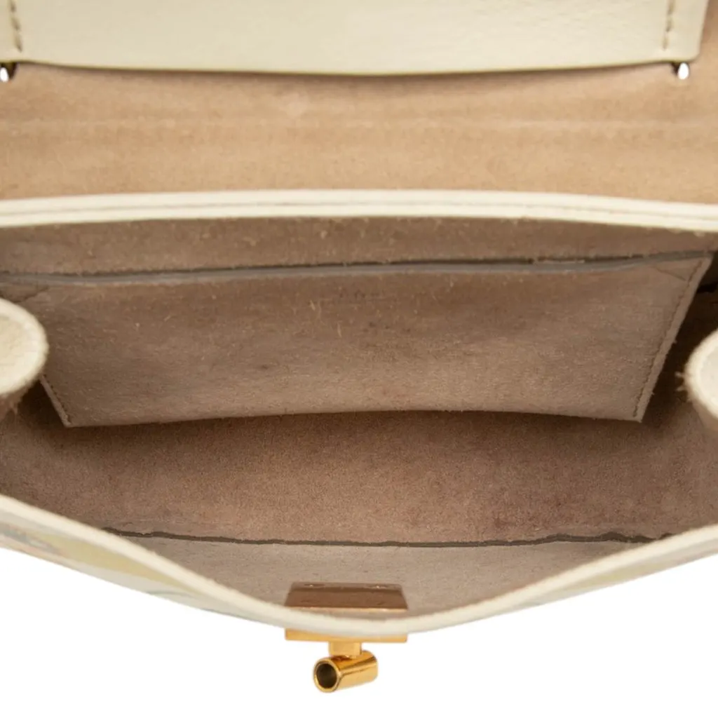 Chloé Mini Printed Leather Drew Bijou Satchel White Leather Very good - Model View