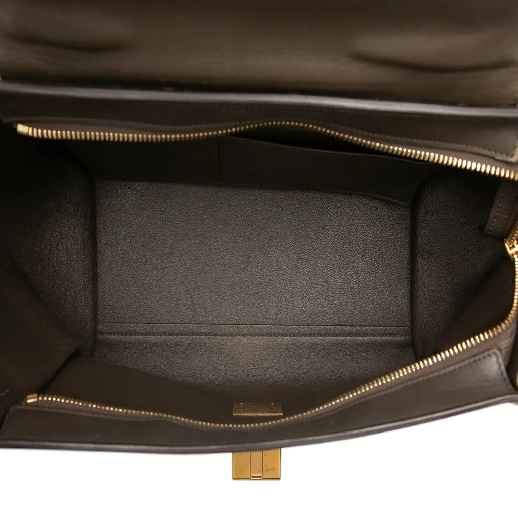 Celine Medium Tricolor Leather Trapeze Satchel Brown Leather Very good - Model View