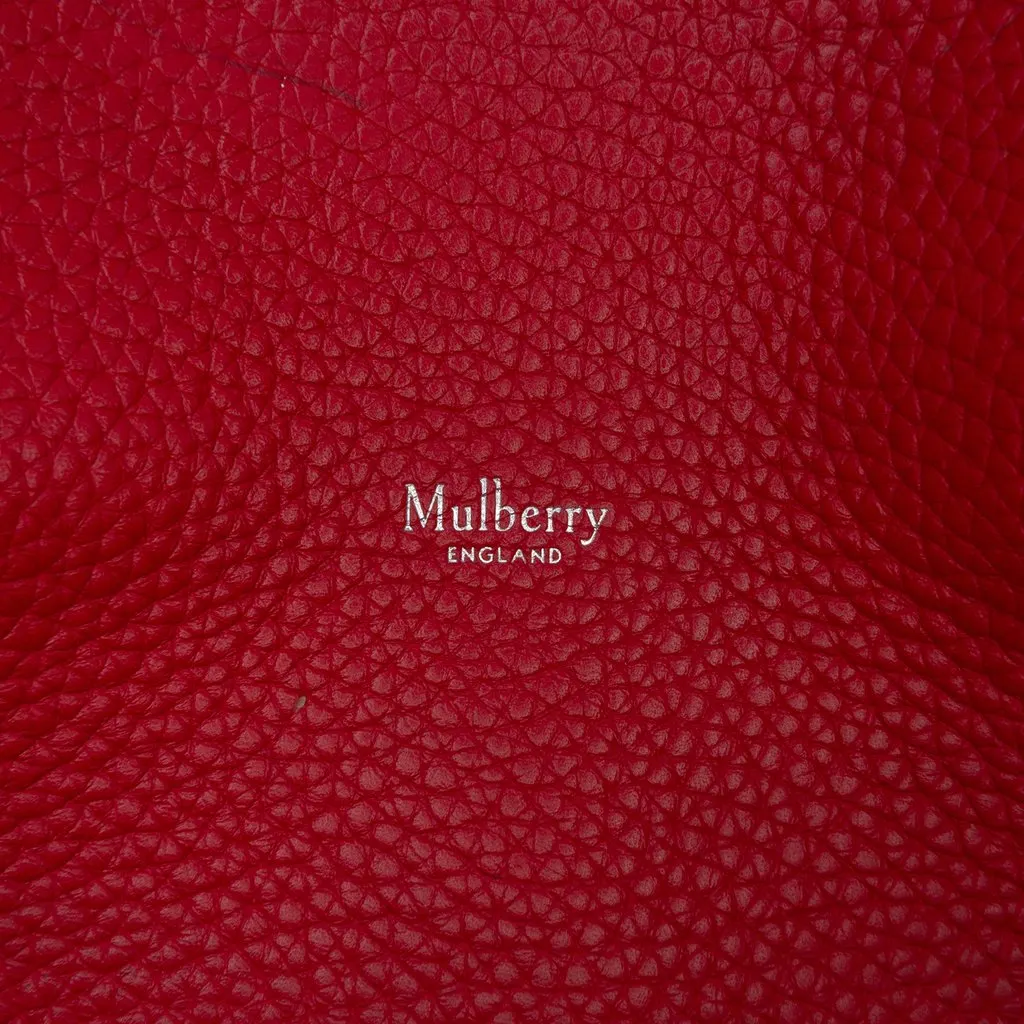 Mulberry Medium Grained Calfskin Iris Satchel Red Leather Good - Box View