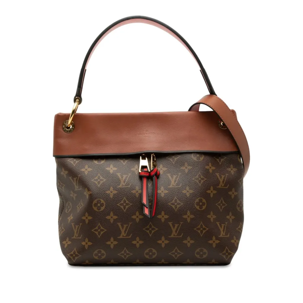 Louis Vuitton Monogram Tuileries Besace Brown Canvas Very good - Front View