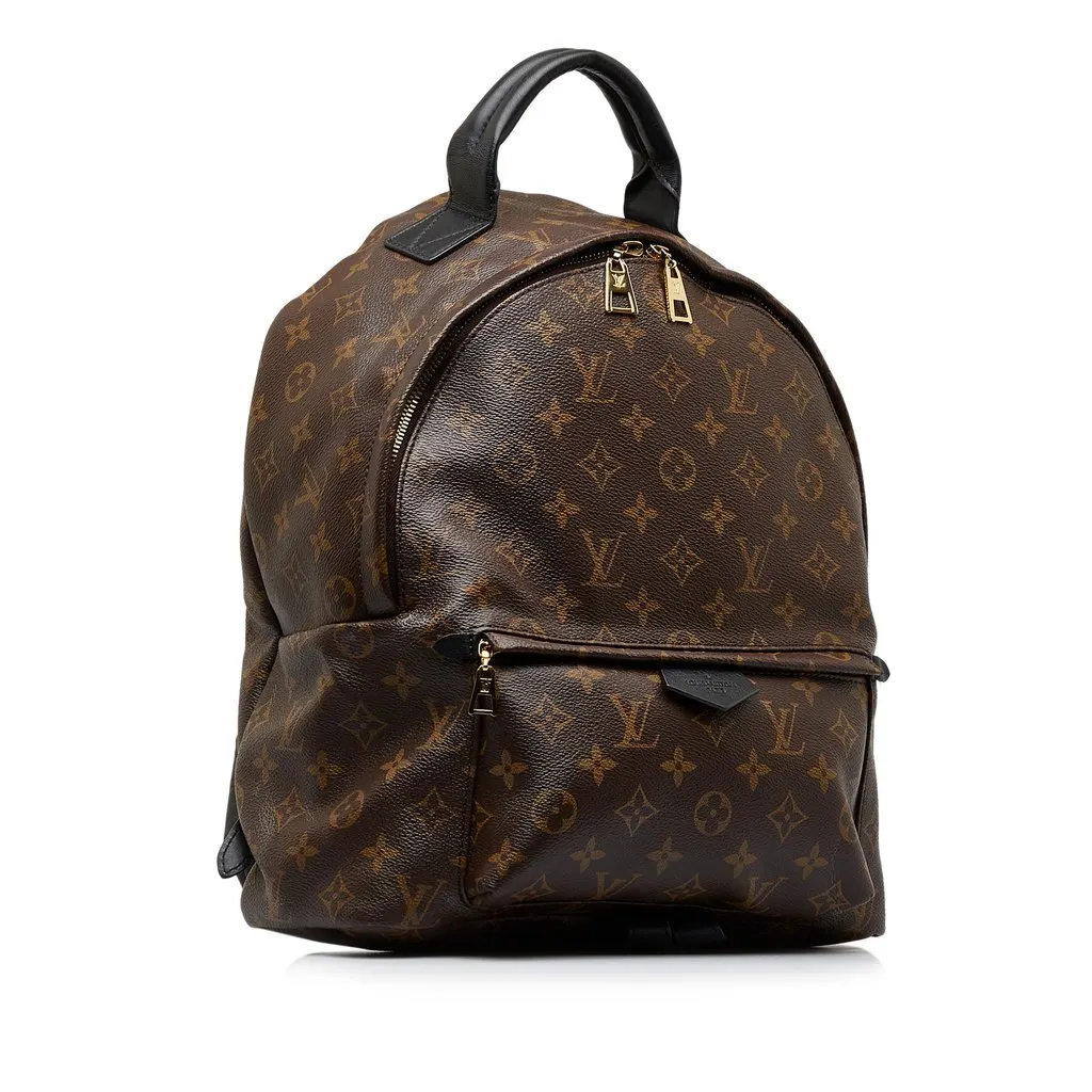 Louis Vuitton Monogram Palm Springs MM Brown Canvas Good - Back View