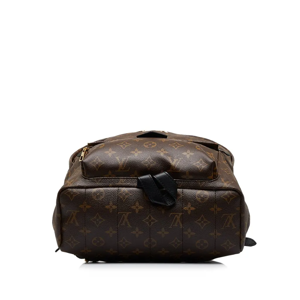 Louis Vuitton Monogram Palm Springs MM Brown Canvas Good - Model View