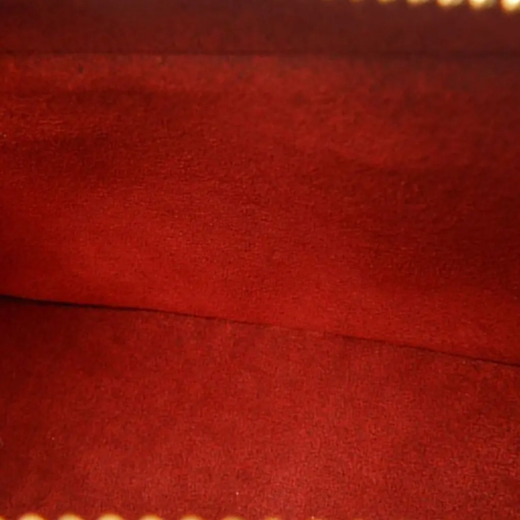 Louis Vuitton Monogram Viva Cite MM Brown Very good - Model View