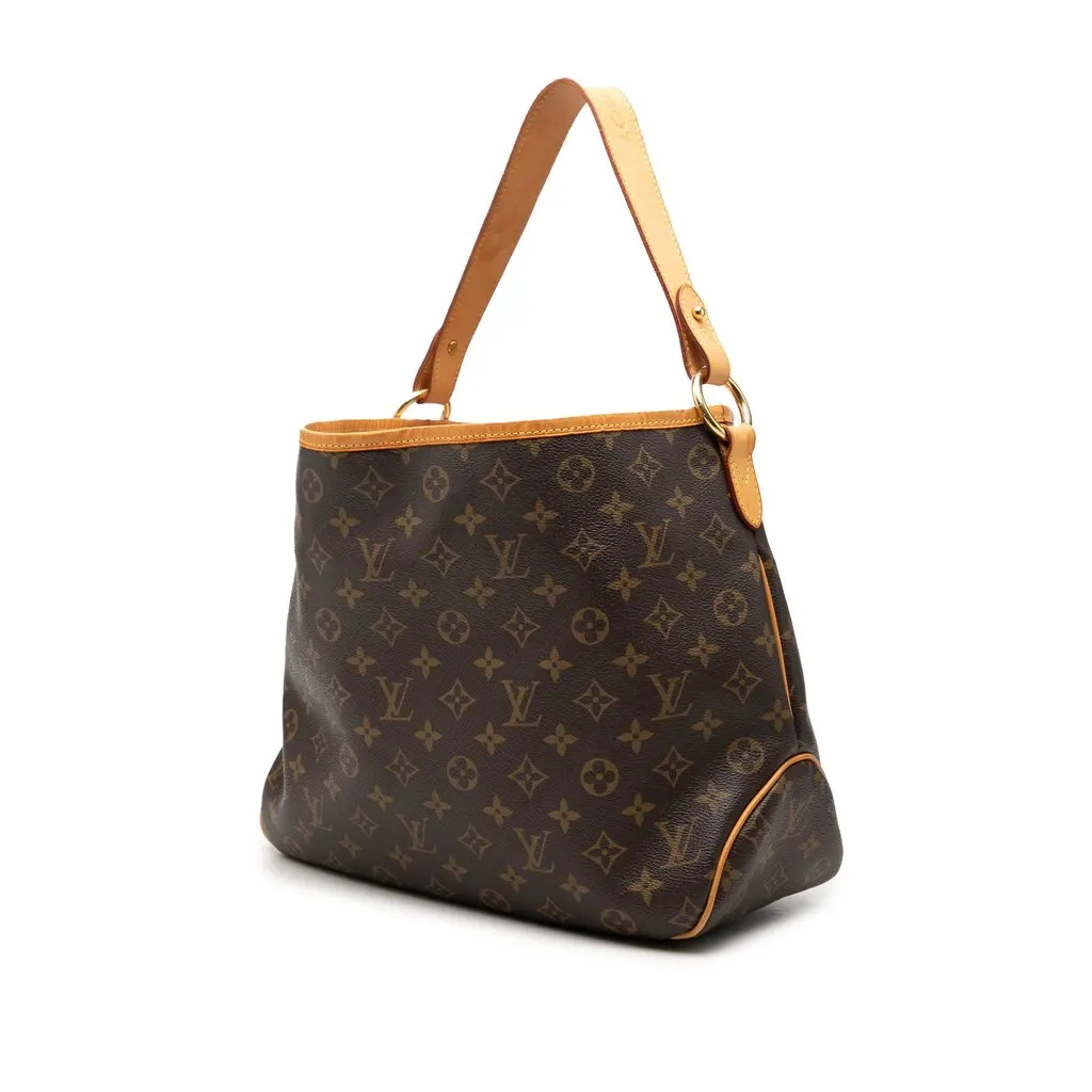Louis Vuitton Monogram Delightful PM Brown Very good - Back View
