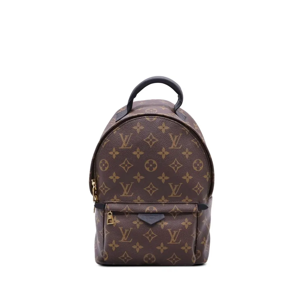 Louis Vuitton Monogram Palm Springs PM Brown Canvas Very good - Front View