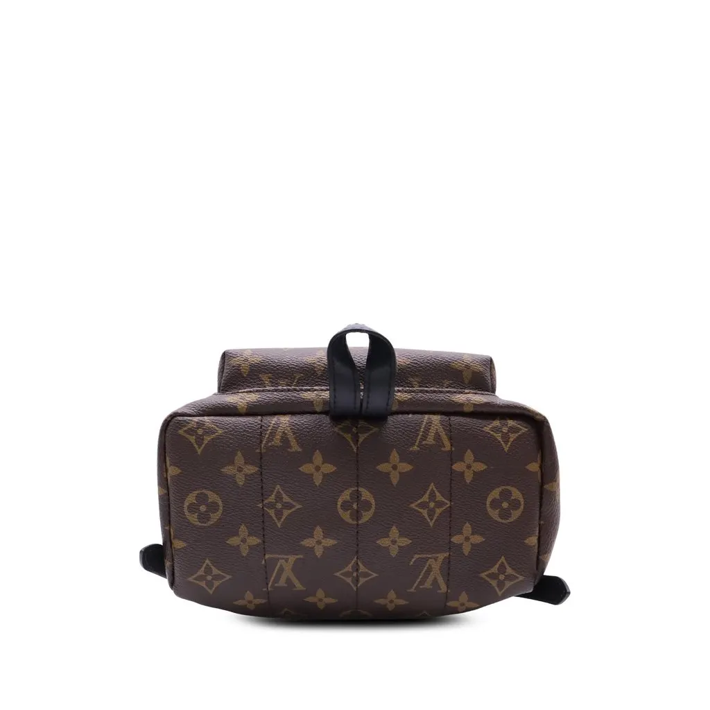 Louis Vuitton Monogram Palm Springs PM Brown Canvas Very good - Back View