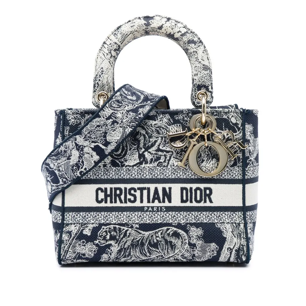 Dior Medium Embroidered Canvas Toile de Jouy Lady D Lite Blue Very good - Front View