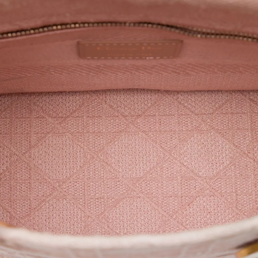Dior Medium Embroidered Canvas Cannage Lady D Lite Pink Very good - Model View