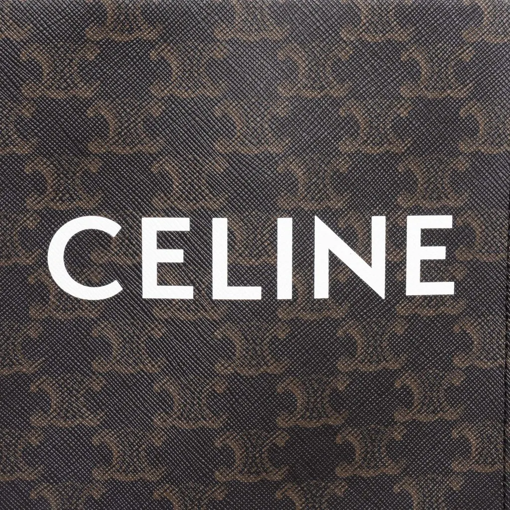 Celine Mini Triomphe Coated Canvas Vertical Cabas Satchel Brown Canvas Very good - Box View