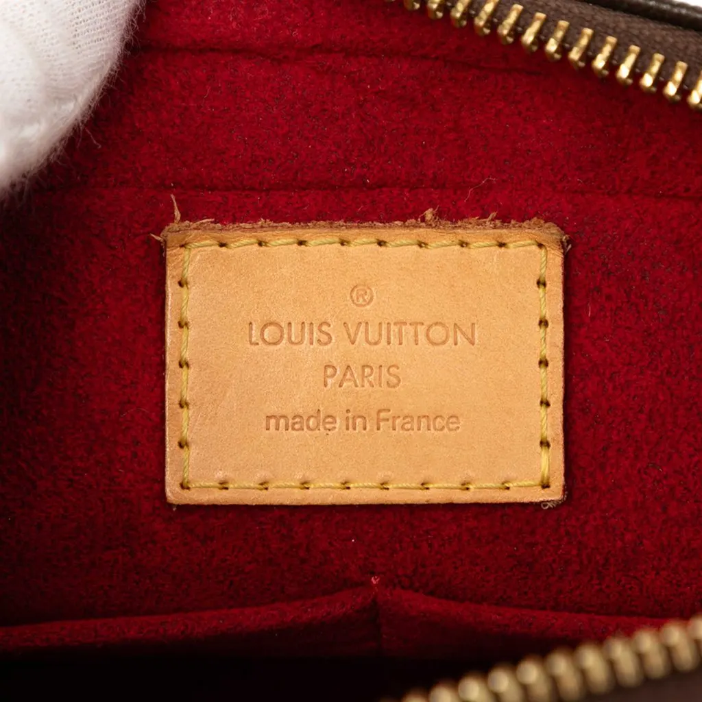 Louis Vuitton Monogram Viva Cite MM Brown Very good - Box View