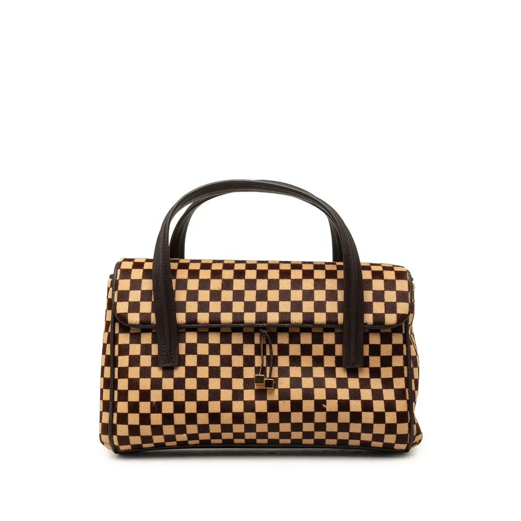 Louis Vuitton Damier Sauvage Lionne Brown Leather Good - Front View