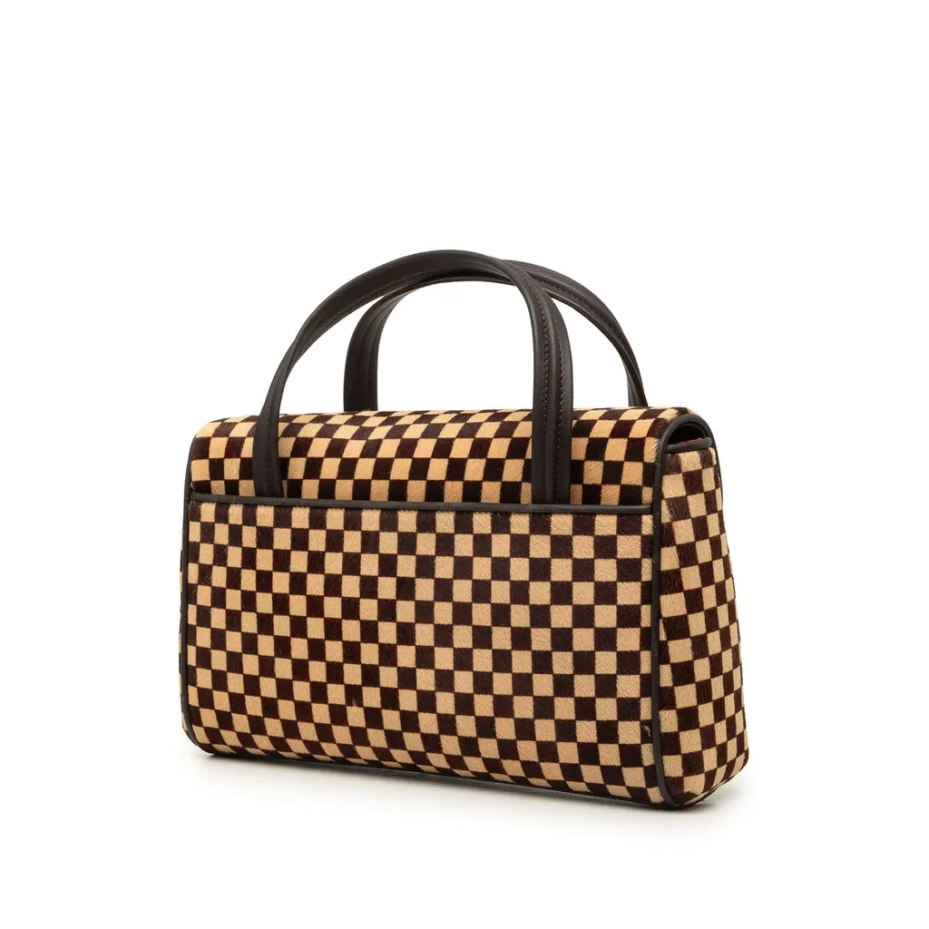 Louis Vuitton Damier Sauvage Lionne Brown Leather Good - Back View