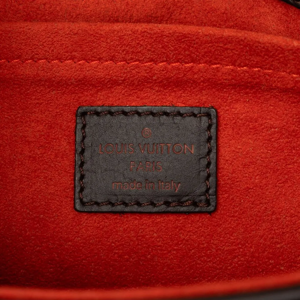 Louis Vuitton Damier Sauvage Lionne Brown Leather Good - Box View