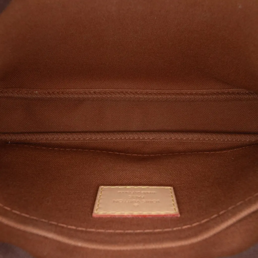 Louis Vuitton Monogram Multi Pochette Accessoires Brown Canvas Very good - Model View