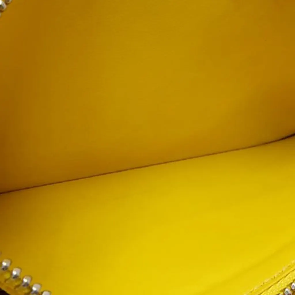 Louis Vuitton Epi Sarah Long Wallet Yellow Leather Very good - Box View