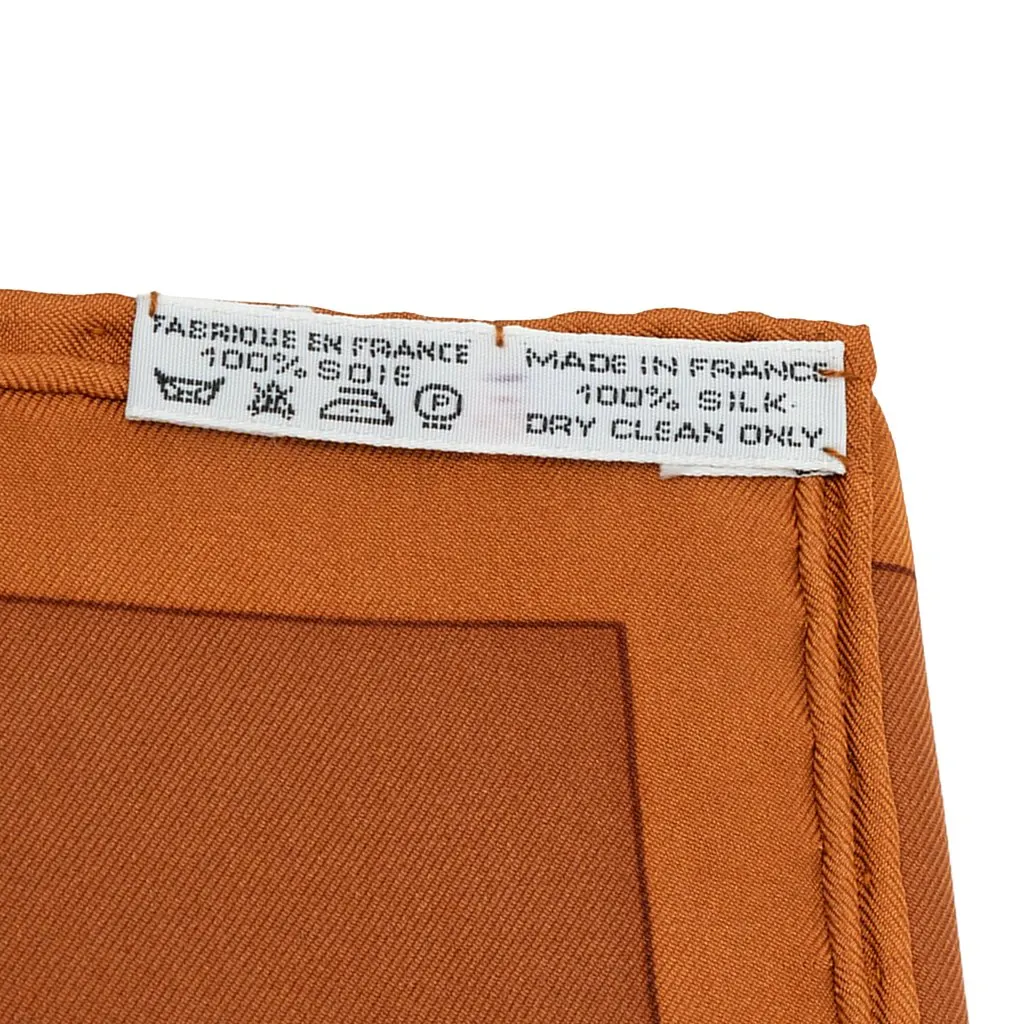 Hermès Parures des Sables Silk Scarf Brown Silk Very good - Back View