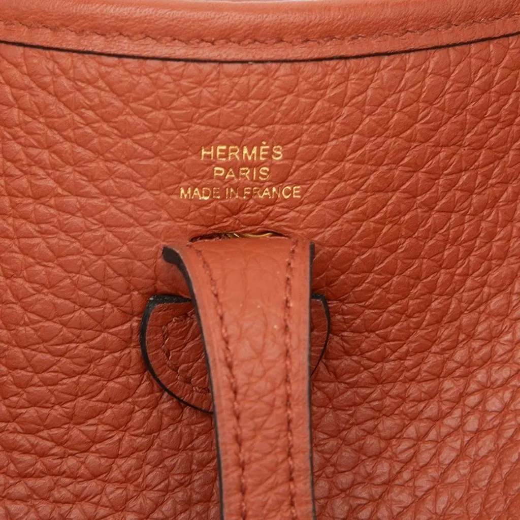 Hermès Clemence Evelyne 16 Amazone Brown Leather Very good - Box View