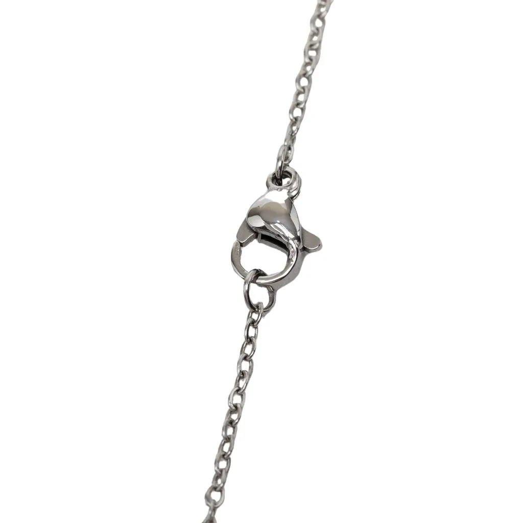 Hermès Palladium Plated Lacquered Cage D H Pendant Necklace Silver Metal Very good - Box View