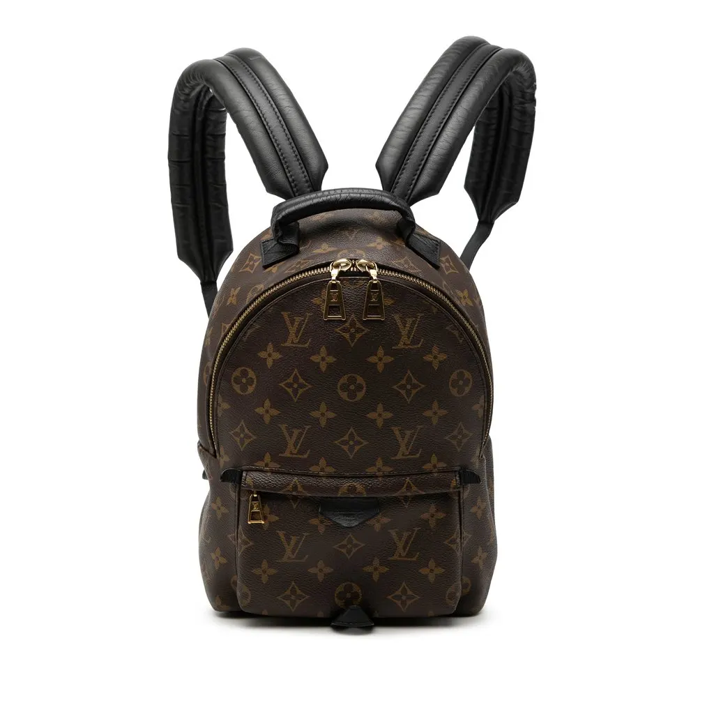 Louis Vuitton Monogram Palm Springs PM Brown Good - Front View