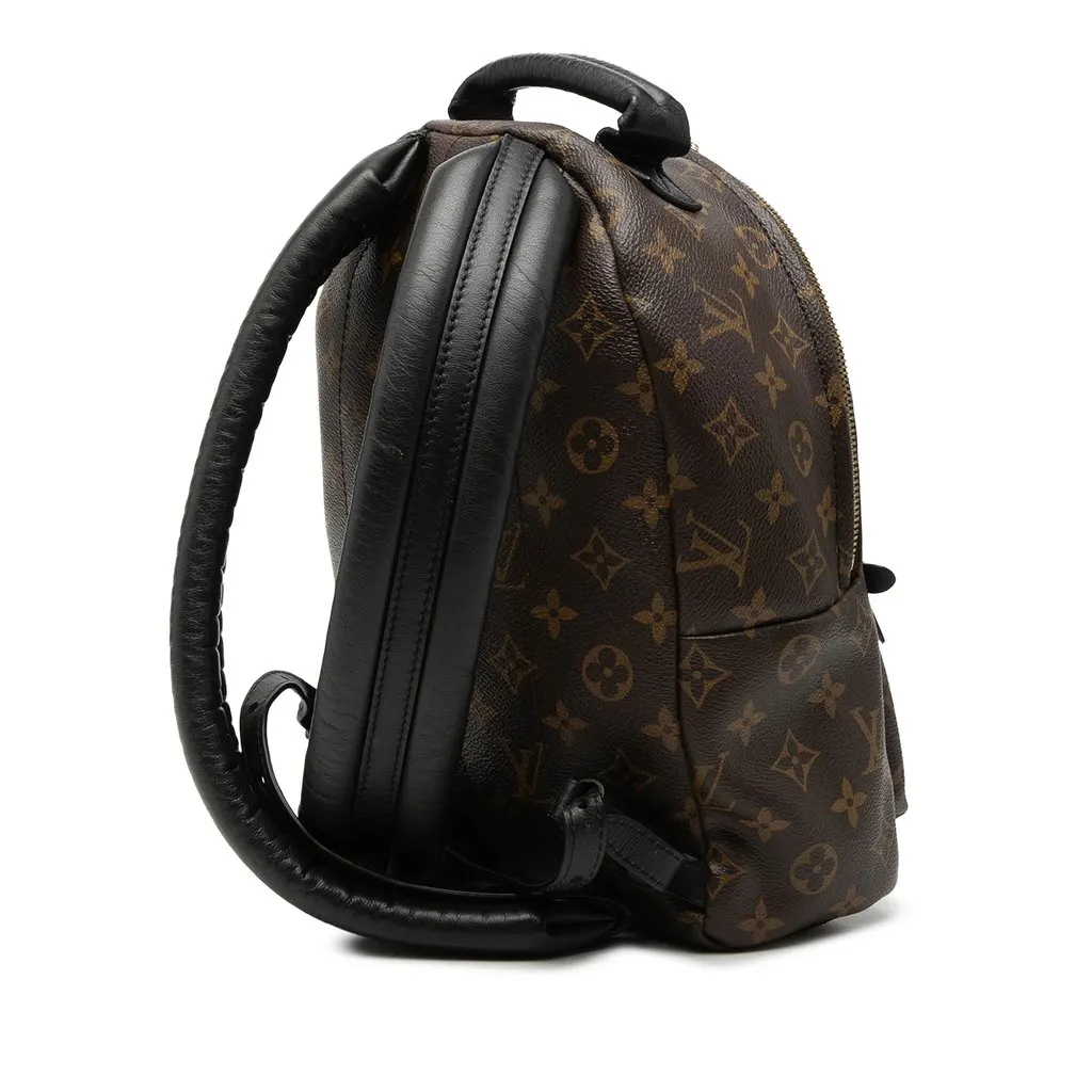 Louis Vuitton Monogram Palm Springs PM Brown Good - Back View