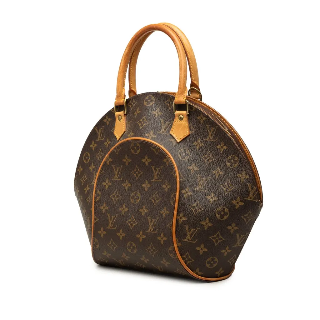 Louis Vuitton Monogram Ellipse MM Brown Canvas Very good - Back View