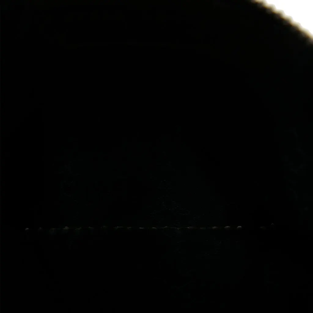Stella McCartney Falabella Leopard Print Shaggy Deer Shoulder Bag Brown Polyester Good - Model View