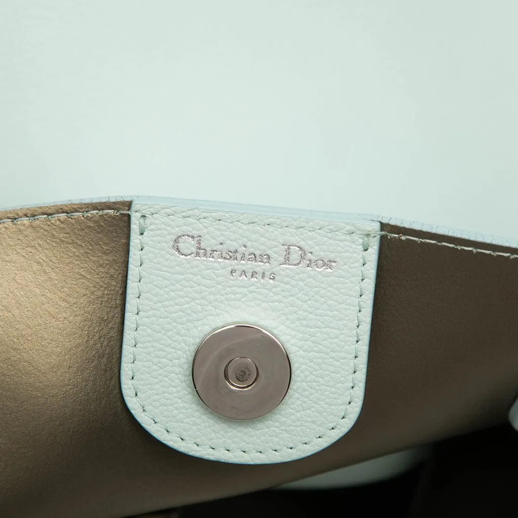 Dior Medium Calfskin Blossom Tote Green Leather Very good - Box View