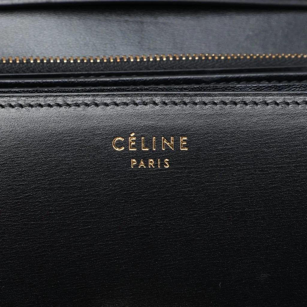 Celine Medium Calfskin and Leopard Print Pony Hair Classic Box Black Leather Very good - Box View
