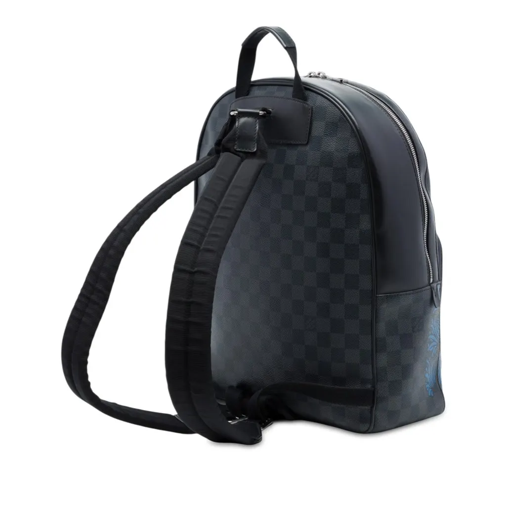 Louis Vuitton Limited Edition Damier Graphite Rope Josh Black Very good - Back View