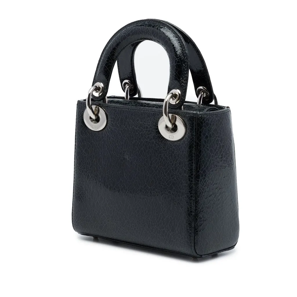 Dior Mini Deerskin Ceramic Effect Jeweled Swan Lady Dior Black Leather Very good - Back View