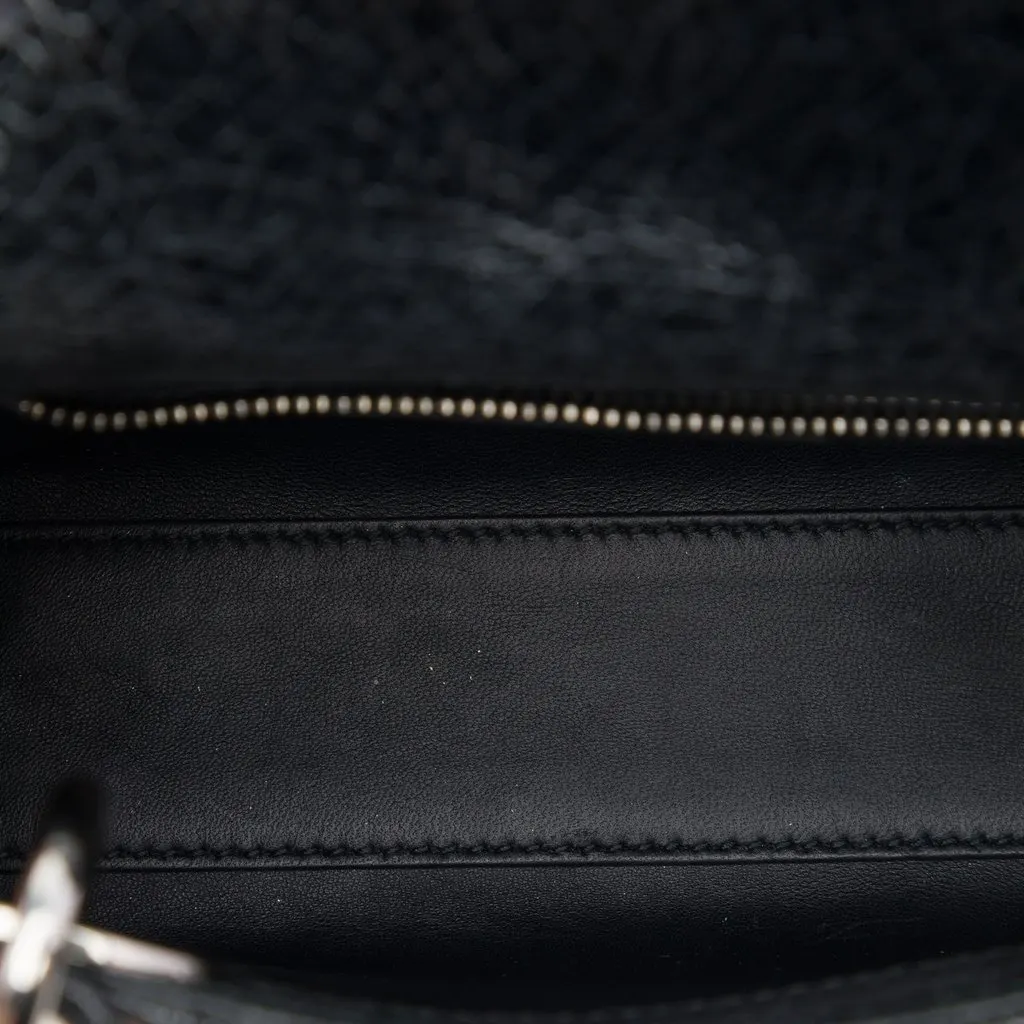 Dior Mini Deerskin Ceramic Effect Jeweled Swan Lady Dior Black Leather Very good - Model View