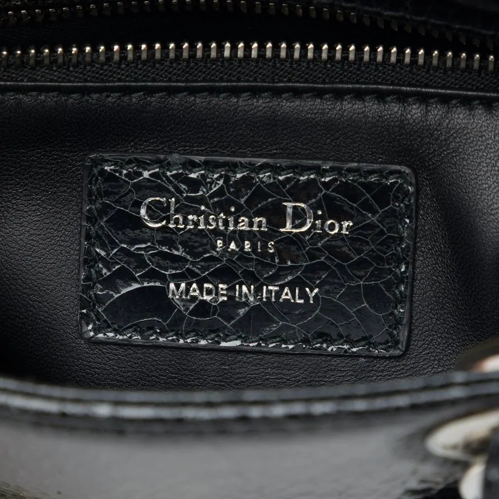 Dior Mini Deerskin Ceramic Effect Jeweled Swan Lady Dior Black Leather Very good - Box View