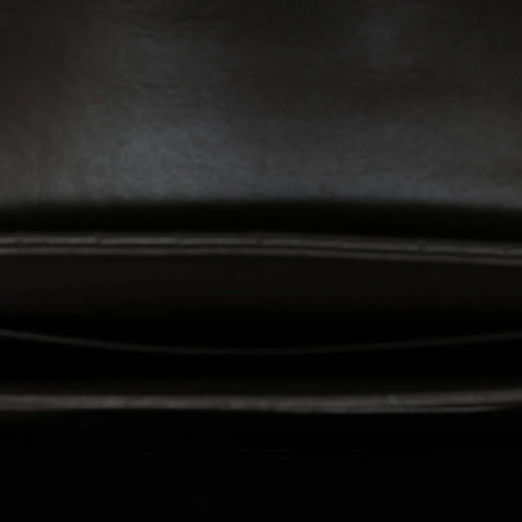 Celine Medium Quilted Calfskin C Bag Brown Leather Very good - Model View