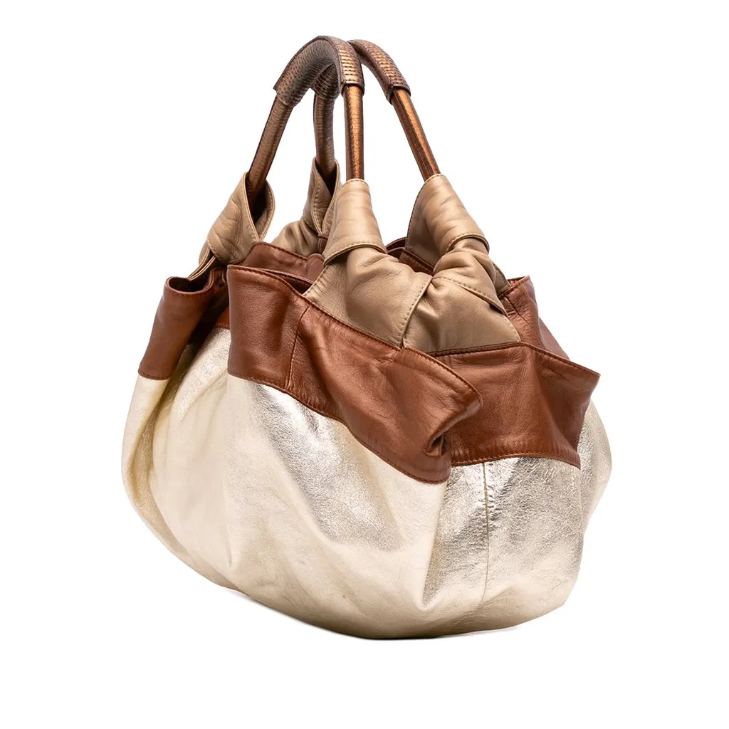 Loewe Tricolor Nappa Aire Gold Leather Good - Back View